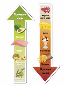 Вредные и полезные жиры при холестерине