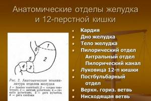 Афтозные папулы антрального отдела желудка: причины и лечения