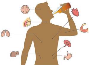 Органы, которые поражаются при алкоголизме