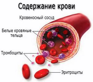 Содержание крови. Развитие анемии