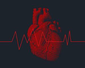 Как вылечить аритмию сердца навсегда: лекарства, народные средства, диета