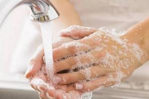 мытые руки