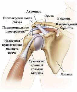 Боль в плечевом суставе: причины, лечение и рекомендации