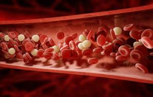 Причины энтеропатии – дефицит белка в крови