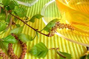 Березовые листья для лечения цистита