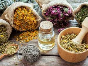 Лечебные травы и эфирные масла для лечения герпеса на губах