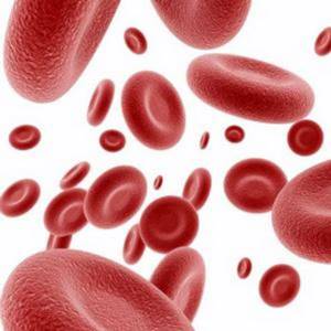 Эритроциты в моче у женщины повышены: каковы причины, за что отвечают клетки крови?