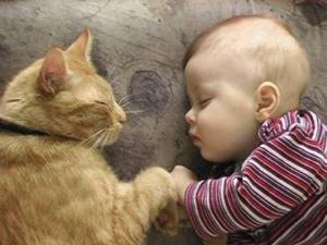 Грудной ребенок и кот