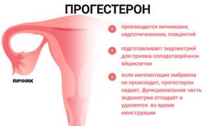 17 ОН-Прогестерон. Норма у женщин по возрасту, в фолликулярной фазе, беременных. Таблица