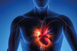 Инфаркт миокарда: симптомы, причины, диагностика, лечение