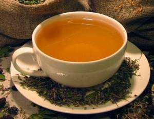 Иван-чай при гастрите: несколько рецептов лечебного растения
