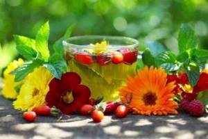 Иван-чай при гастрите: несколько рецептов лечебного растения