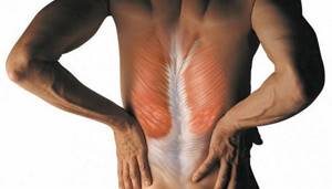 Как лечить растяжение мышц: методы восстановления и первая помощь