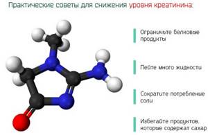 Анализ крови на креатинин. Что это такое, как подготовиться, расшифровка, цена