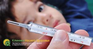 Симптомы и лечение описторхоза у детей: эффективные методы и народная медицина