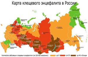 Карта энцефалита. Наиболее опасные районы энцефалита в России