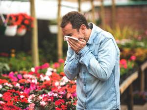 Лечение аллергического ринита и его симптомов у взрослых