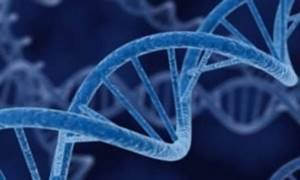 Генетическая предрасположенность - факторов малигнизации