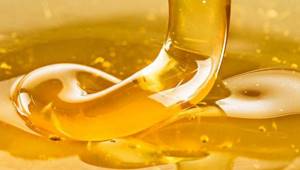 Мед при панкреатите польза и вред. Какой мед при холецистите и панкреатите можно есть.