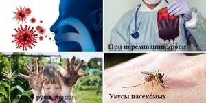 Вирусы, переливание крови, укусы насекомых и немытые руки