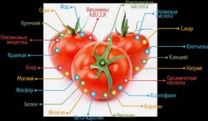 Можно ли есть помидоры при мочекаменной болезни?