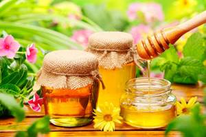 Мёд при язвенной болезни желудка – употребление и народные рецепты