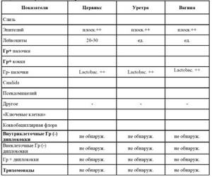Мазок на флору у женщин. Норма, таблица, расшифровка лейкоциты, эритроциты, кокки, при беременности