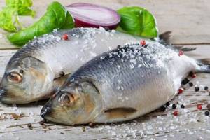 Отравление рыбой: симптомы и способы лечения в домашних условиях