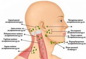 По каким причинам может болеть подбородок или шея под челюстью в области гортани