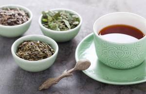 Почечный чай – полезные свойства и противопоказания