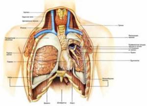 Почему больно дышать: при вдохе болит справа в грудной клетке