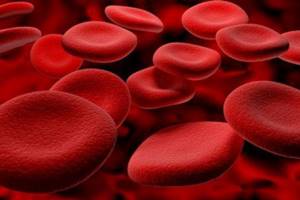 Повышенные эритроциты в крови у взрослого или ребенка — что это значит и чем может грозить