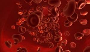 Повышенные эритроциты в крови у взрослого или ребенка — что это значит и чем может грозить