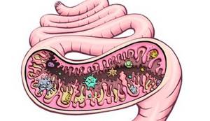 Проблемы после родов с ЖКТ (желудком, кишечником), желчным пузырем и печенью