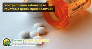 Препараты от глистов: лучшие лекарства и таблетки от паразитов