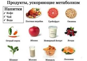 Сколько переваривается пища в желудке человека. Таблица продукты молочных продуктов, овощей, фруктов, каши, мясо, супы, орехи
