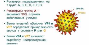 Опасный ротавирус: сколько дней заразен человек после выздоровления