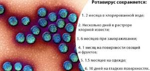 Опасный ротавирус: сколько дней заразен человек после выздоровления