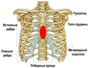 Перелом ребра: симптомы