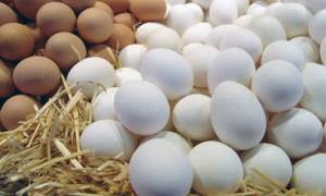 Яйца входят в состав творожной запеканки