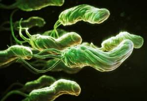 Уникальная вредоносная бактерия