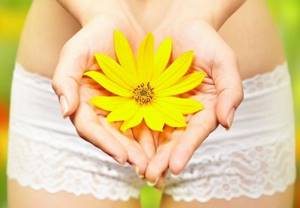 жёлтый цветок в руках женщины
