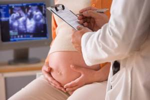 УЗИ почек при беременности: подготовка и описание процедуры